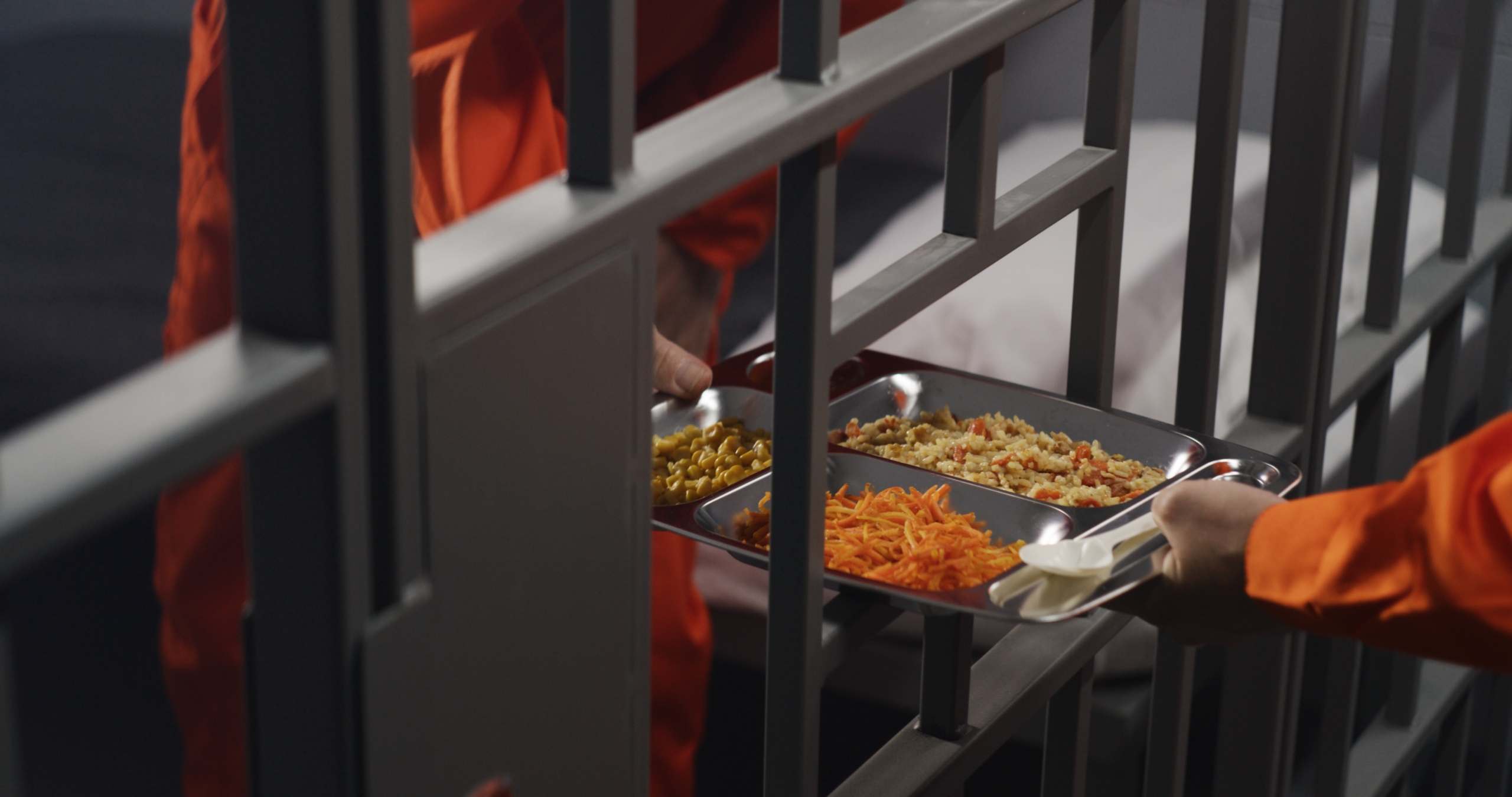 Correctional and Government Institutions