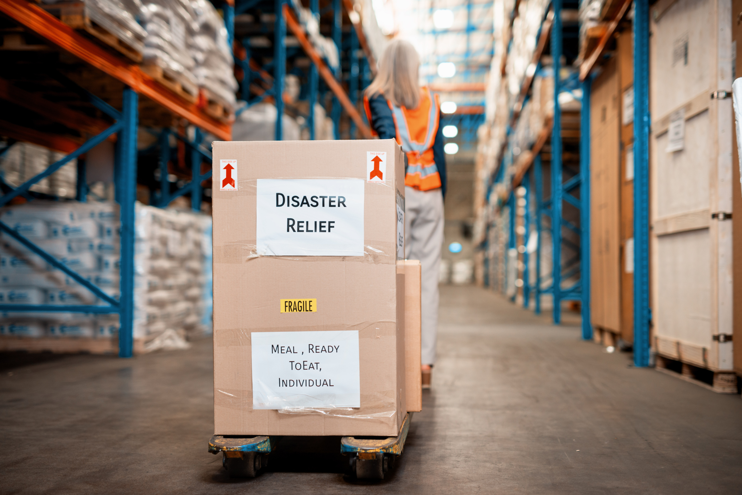 A logistics warehouse featuring packed disaster relief supplies marked for distribution. A worker in safety gear is visible in the background, ensuring efficient operations. Represents aid, coordination, and shipping processes.